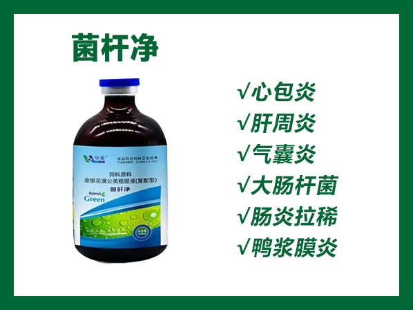 菌杆净——大肠杆菌、杆周炎、心包炎，精选中药、绿色无抗、疗效确切