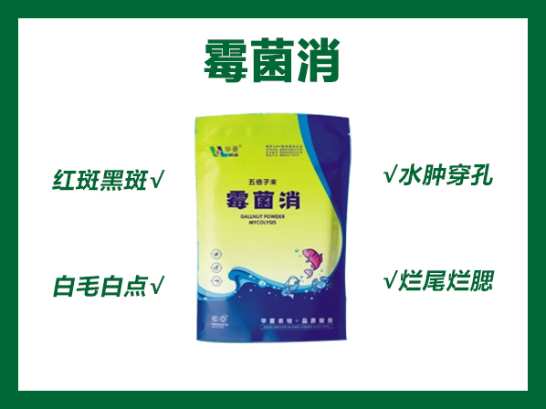 霉菌消---真菌、水霉病的天敌！