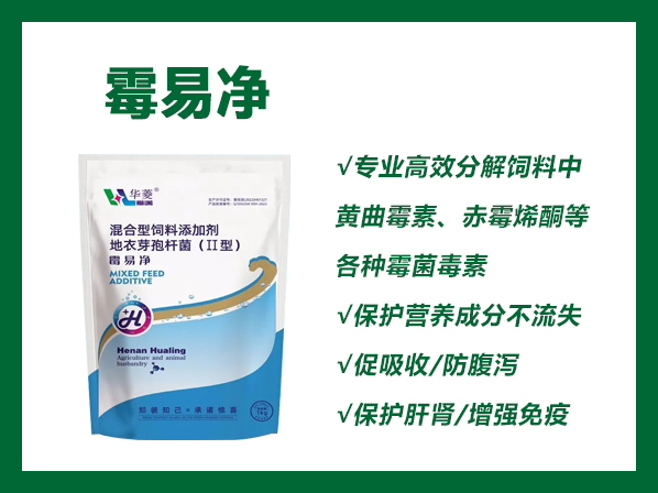 霉易净 ---生物脱霉更彻底