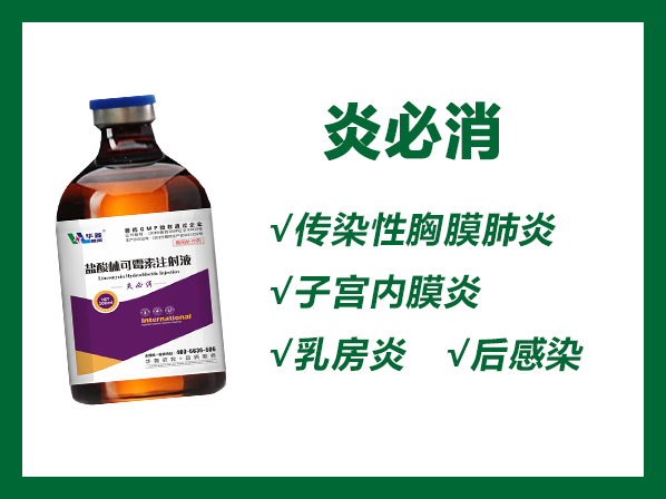 炎必消---产前产后感染；呼吸道综合征；子宫炎、乳房炎