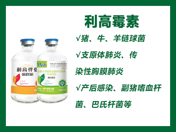 利高霉素---盐酸大观霉素盐酸林可霉素